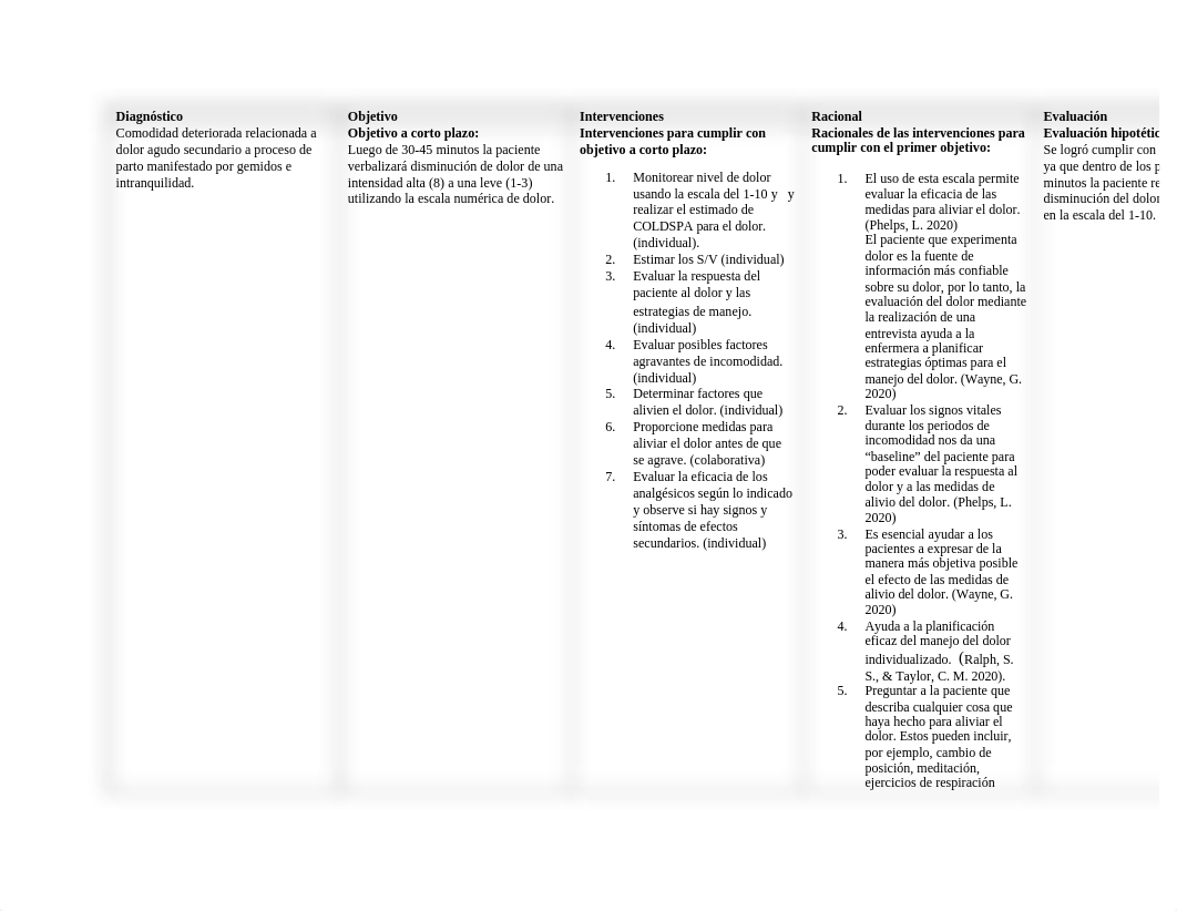 PLAN DE CUIDADO PROLAPSO.docx_d7uxkgtdwvc_page2