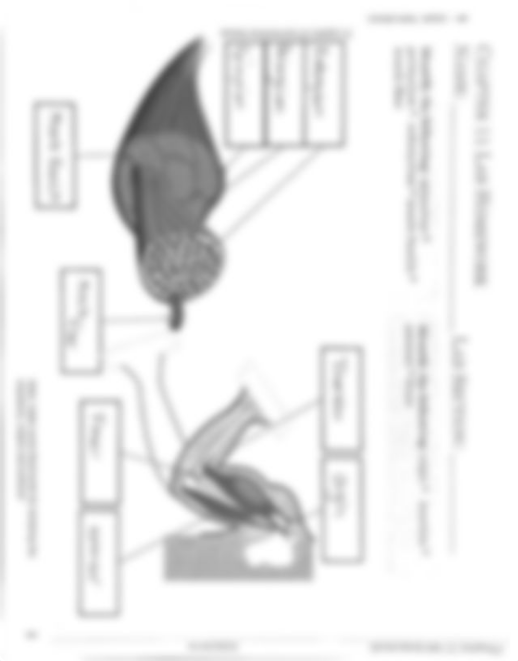 Lab Homework 3.pdf_d7v0vxoyhny_page4