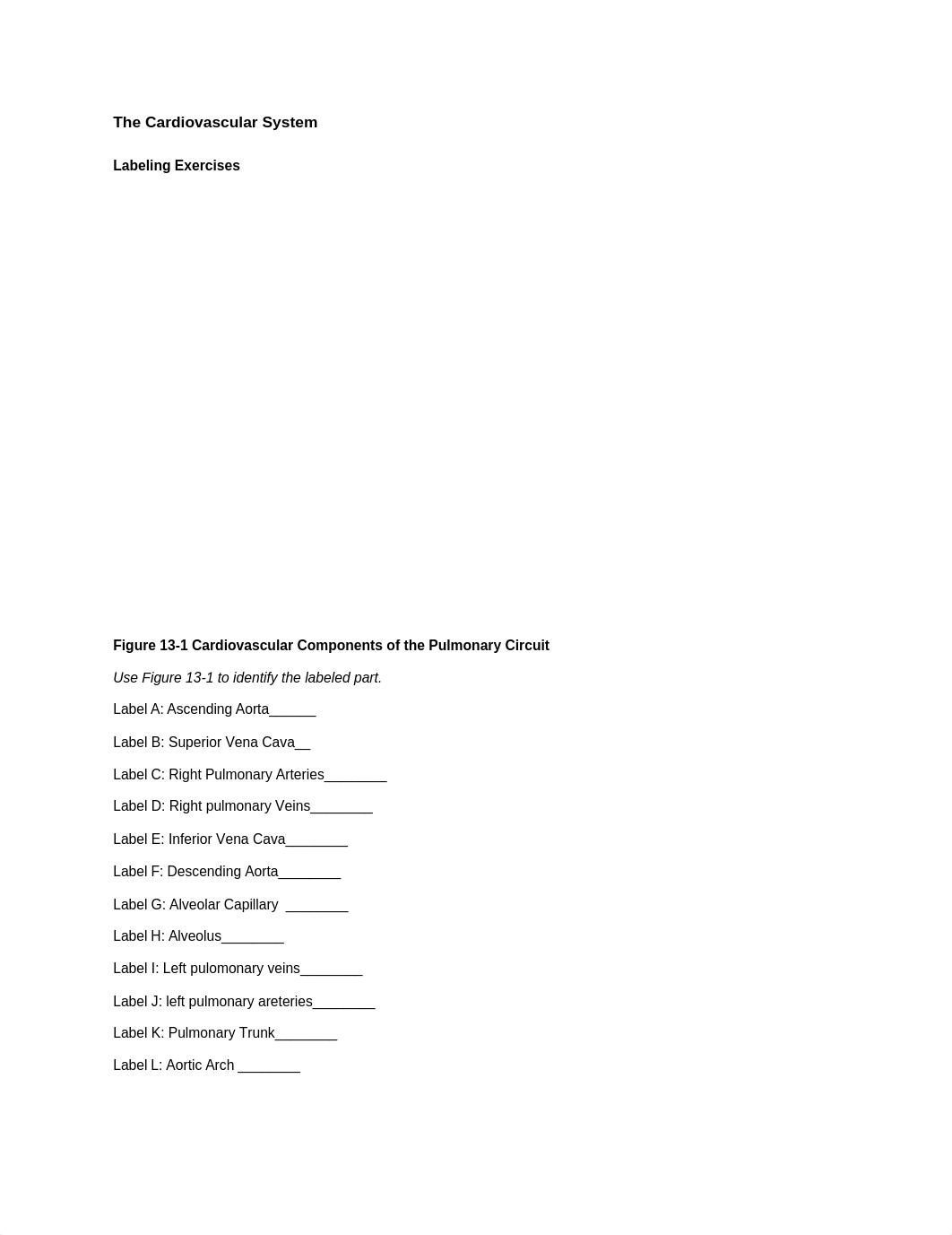 A&P 2 Homework 3_d7v6xibvpl9_page1