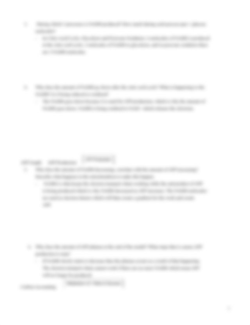 Cellular Respiration Model (3).docx_d7vhoe15omj_page3