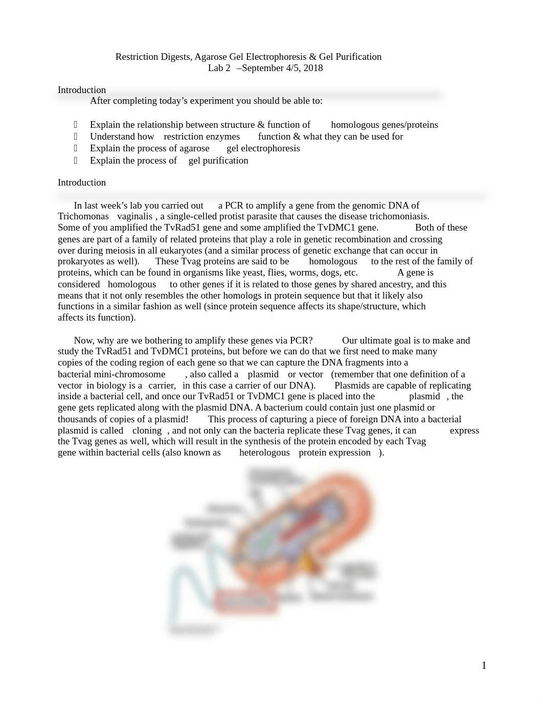 Lab 2 F2018 digests & gel purification.pdf_d7vjv5miryc_page1