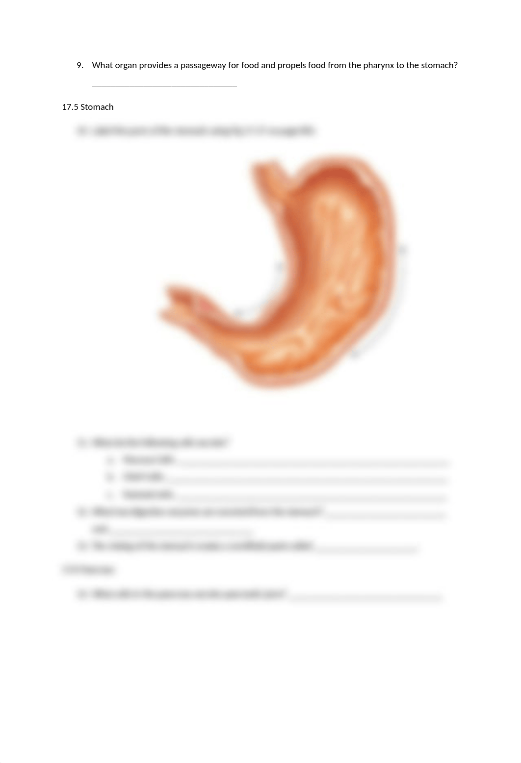 Digestive System Prelecture.docx_d7vpbqkc80a_page2