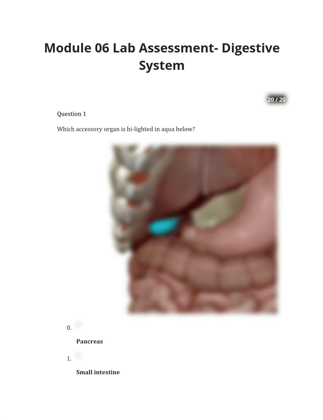 Module 06 Lab Assessment- Digestive System.pdf_d7vrdb9mpbk_page1