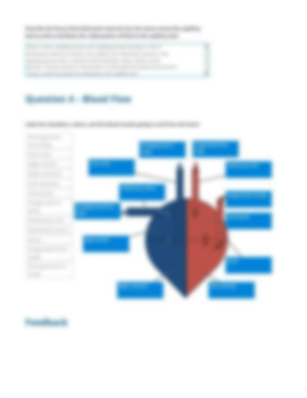 Cardiovascular System - Heart and Blood Vessels - Evaluation report_d7vs324qzpt_page5