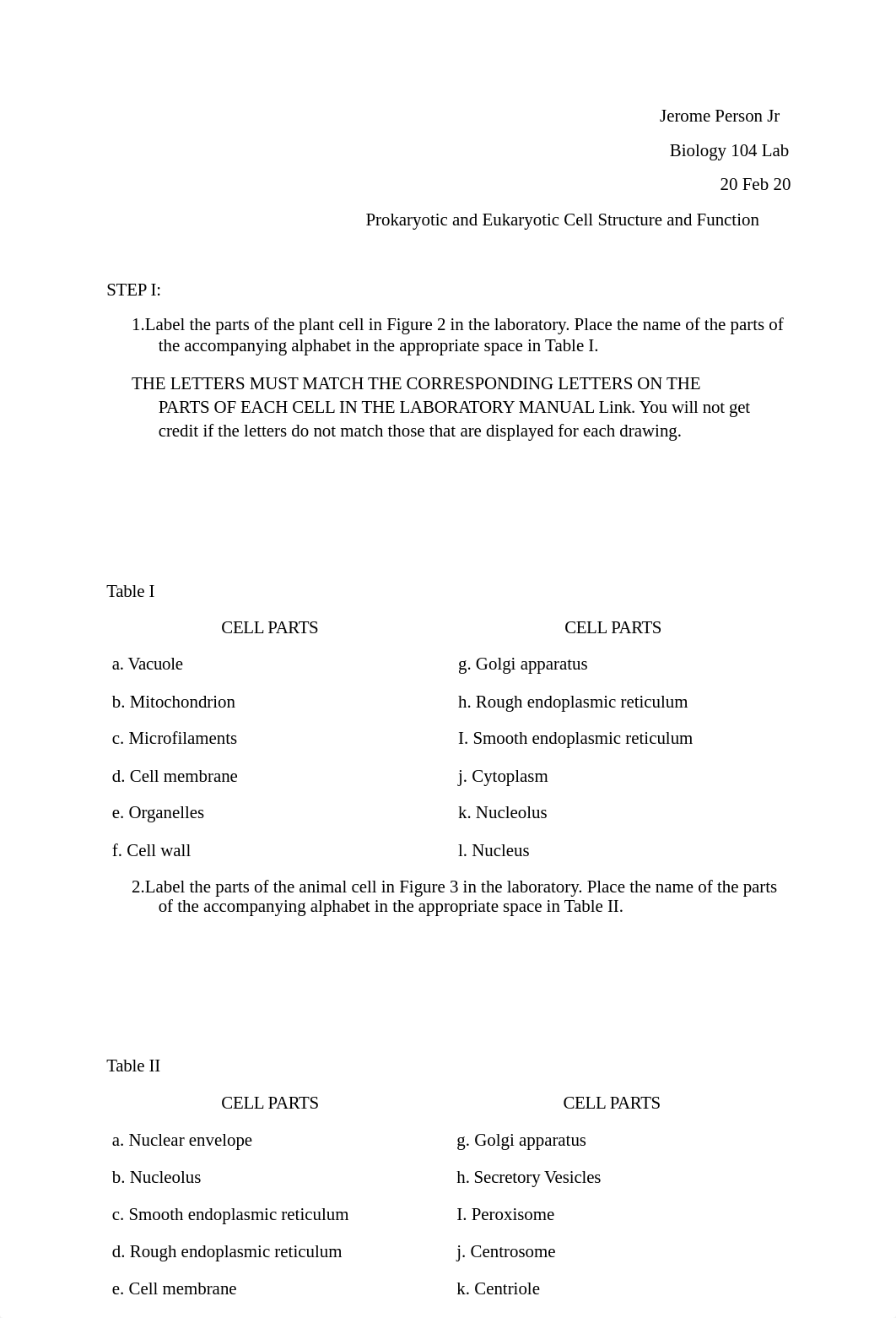 Jerome Person Jr PROKARYOTIC AND EUKARYOTIC CELL STRUCTURE AND FUNCTION.docx_d7vtw8o7hf3_page1