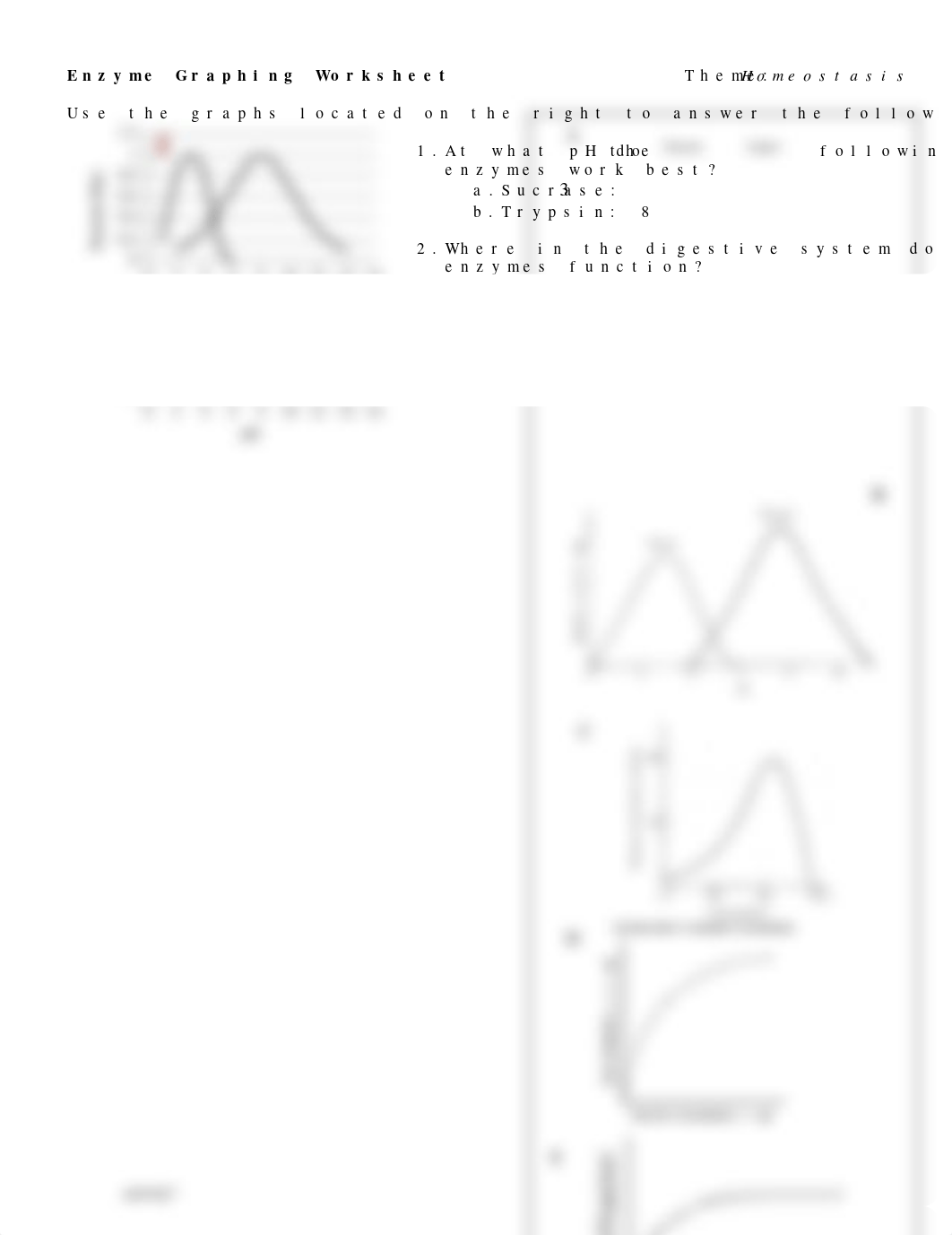 Enzyme Graphing Worksheet.docx_d7vvn76eljr_page1