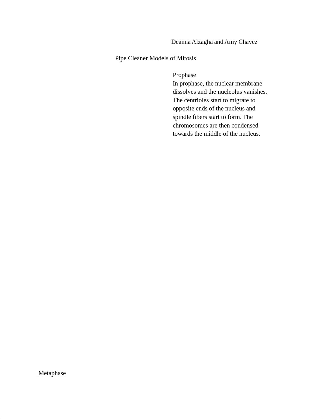 Pipe Cleaner Models of Mitosis.docx_d7vwqdxajuo_page1