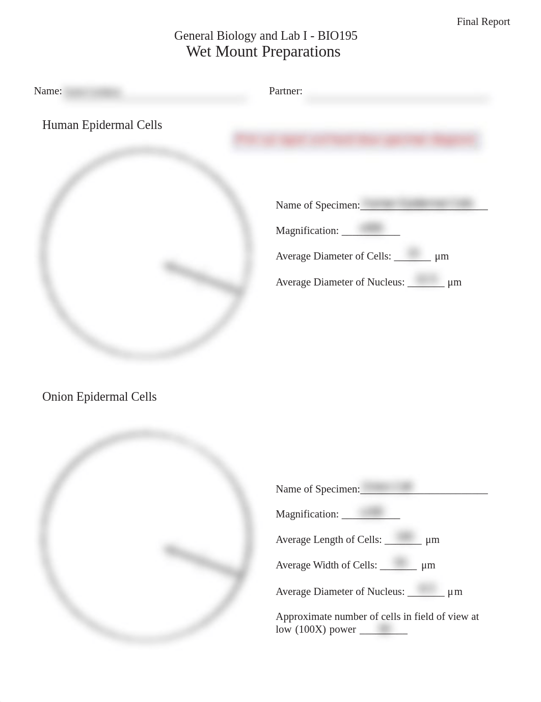 Report-Wet Mount Prep.pdf_d7vww3d1nq8_page1