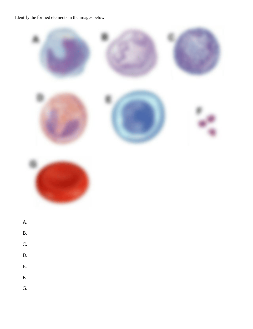 Blood_Lab_worksheet.pdf_d7vymkxbfqe_page3