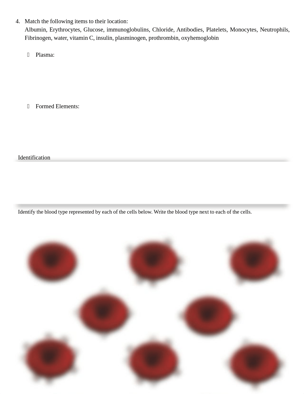 Blood_Lab_worksheet.pdf_d7vymkxbfqe_page2