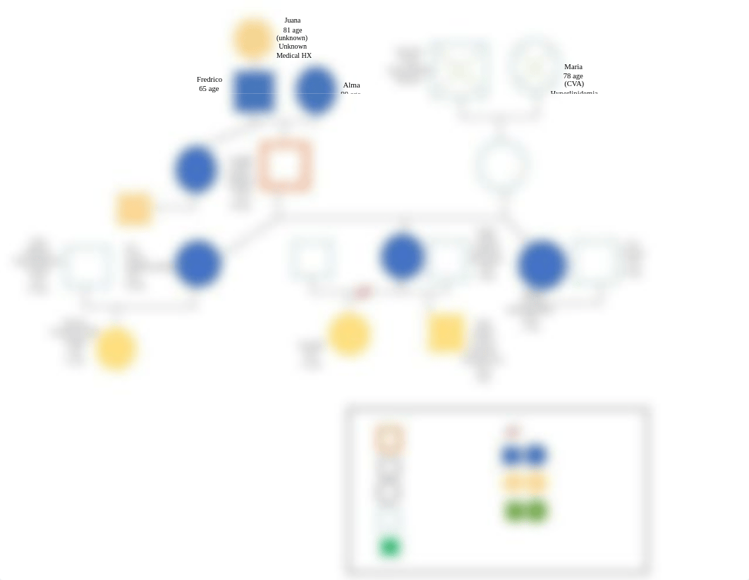 Genogram .docx_d7w03kdxm5f_page1