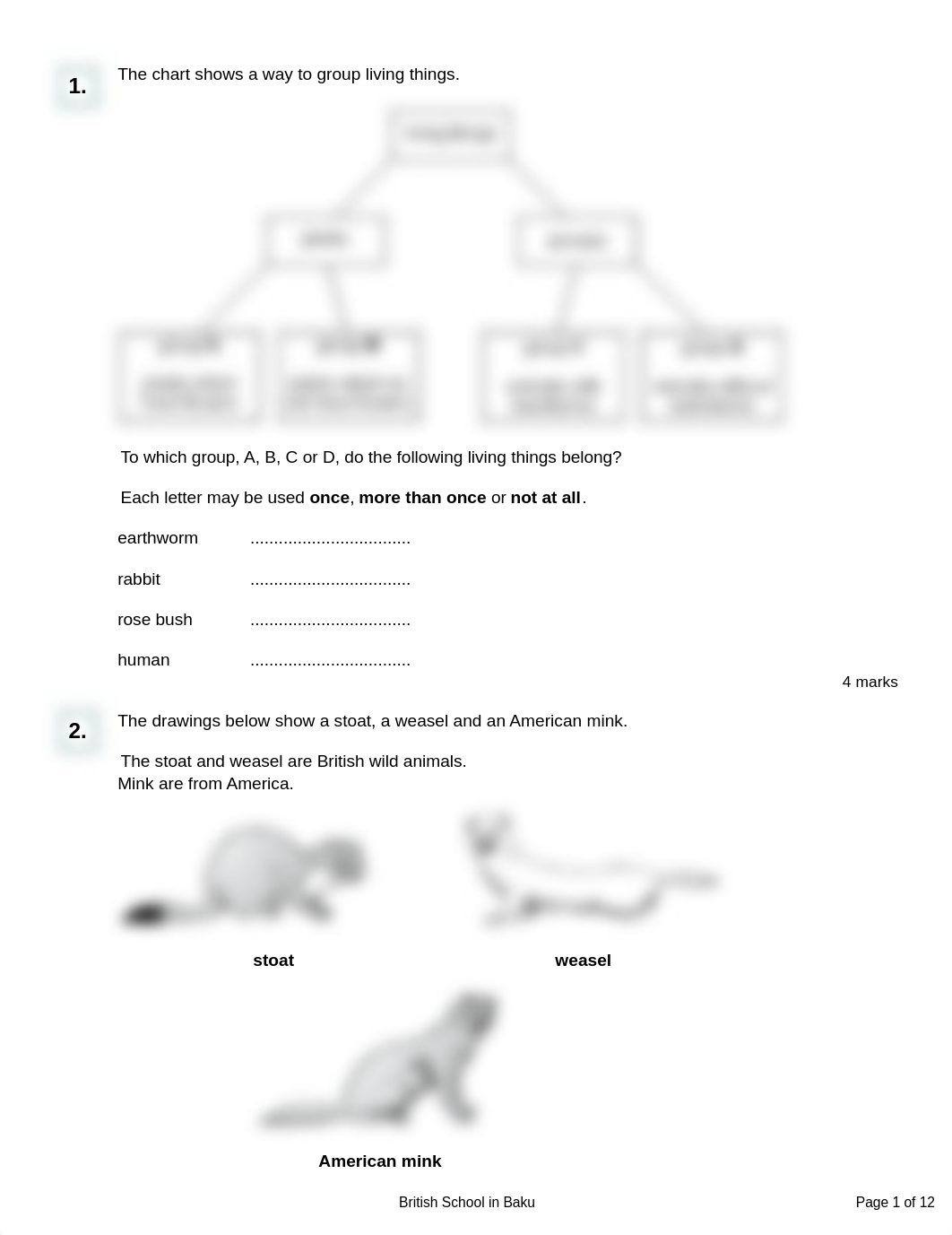 Classification and keys All levels Q MS.pdf_d7w6waqv62u_page1