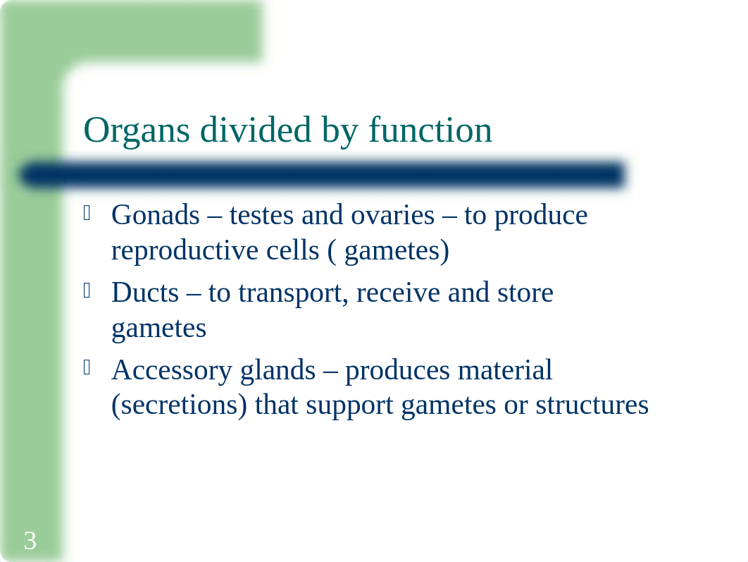 12.Reproductive_System_d7wclxpx5yf_page3