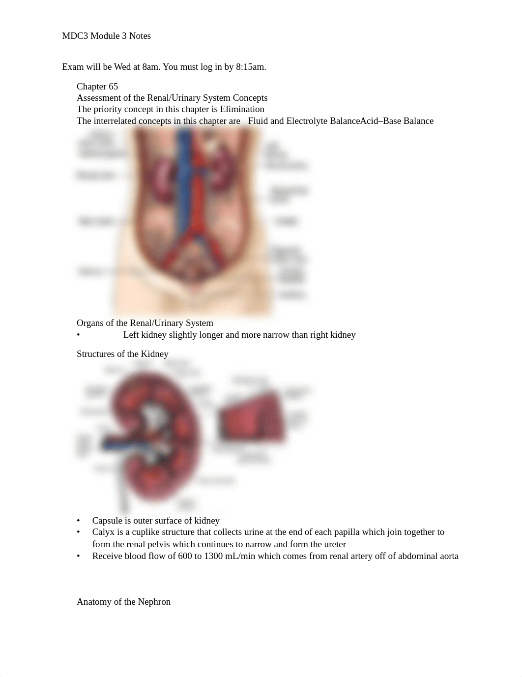 Module 3 Notes.docx_d7wf2jctd6u_page1