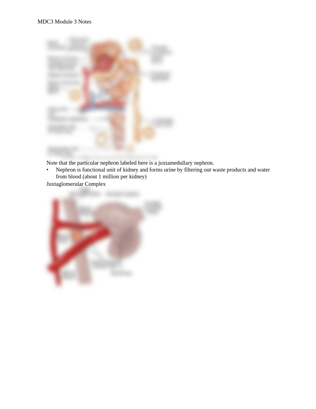 Module 3 Notes.docx_d7wf2jctd6u_page2