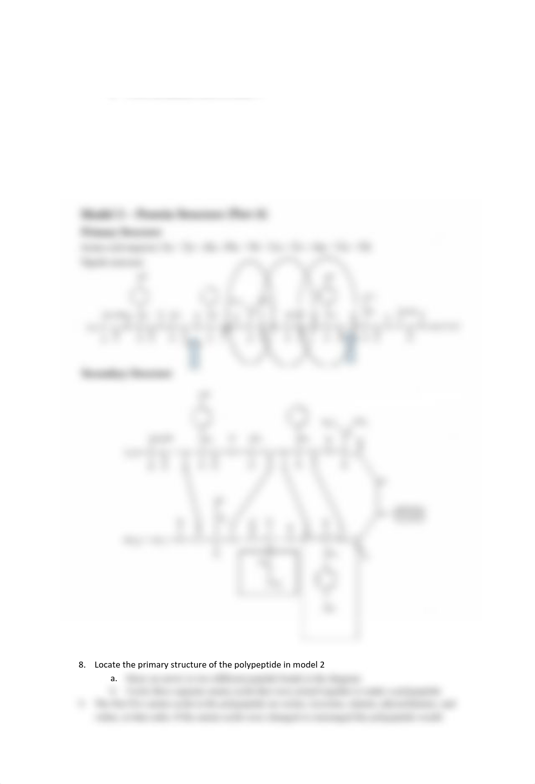 Copy of + Protein Structure Worksheet .pdf_d7wfn211qyl_page2