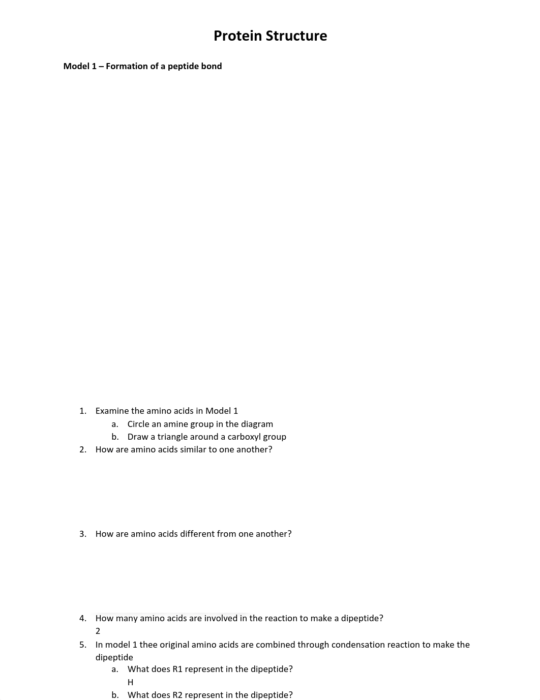 Copy of + Protein Structure Worksheet .pdf_d7wfn211qyl_page1