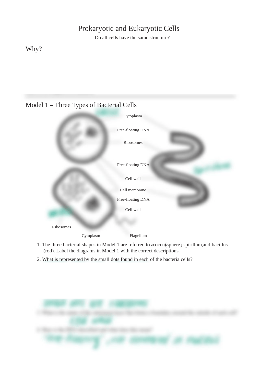 7_Prokaryote_and_Eukaryote_Cells-S.pdf_d7wkma1u0h5_page1