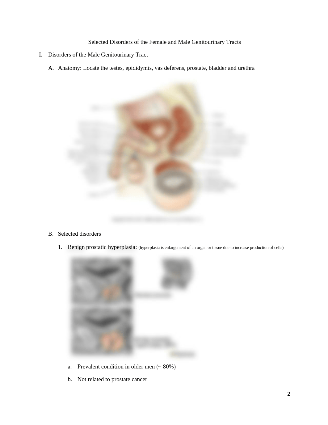 STI and genitourinary conditions 6th(1).docx_d7wkvdh4ryb_page2