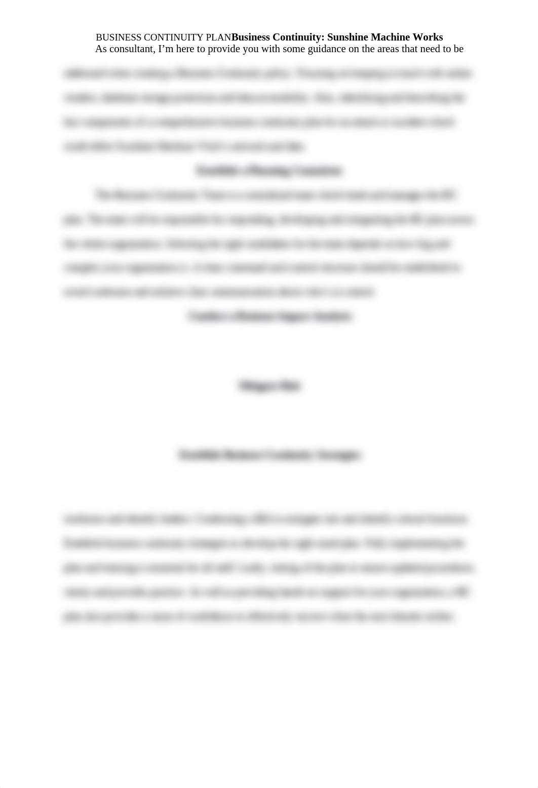 Business Continuity Plan.docx_d7wkx89ygaq_page3