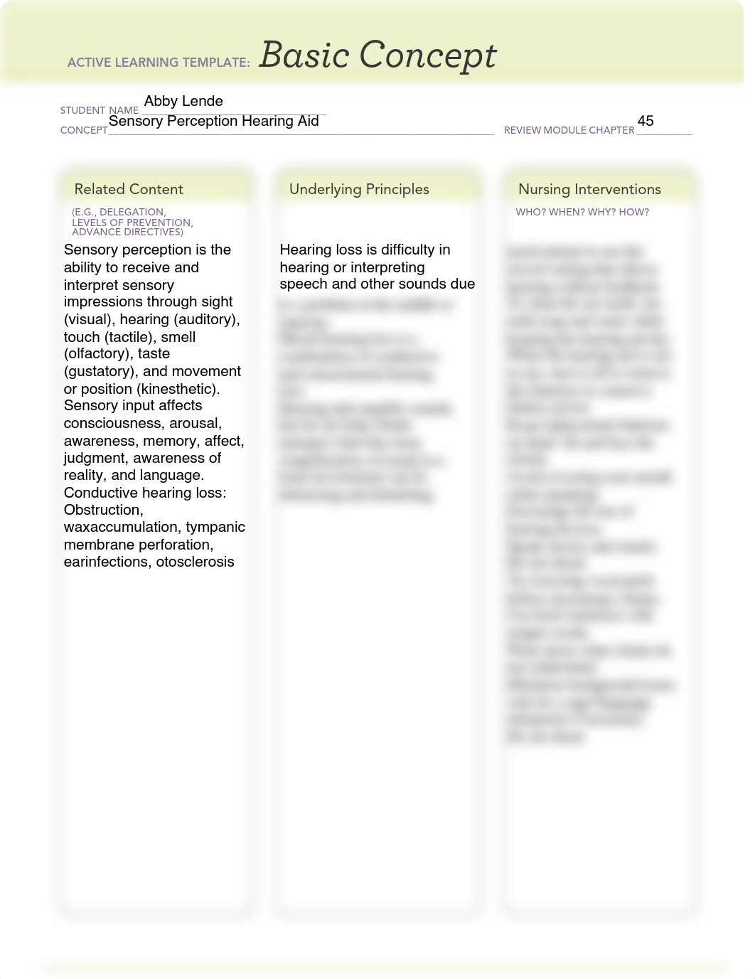 Sensory Perception Hearing Aid.pdf_d7x5fe7z5kc_page1