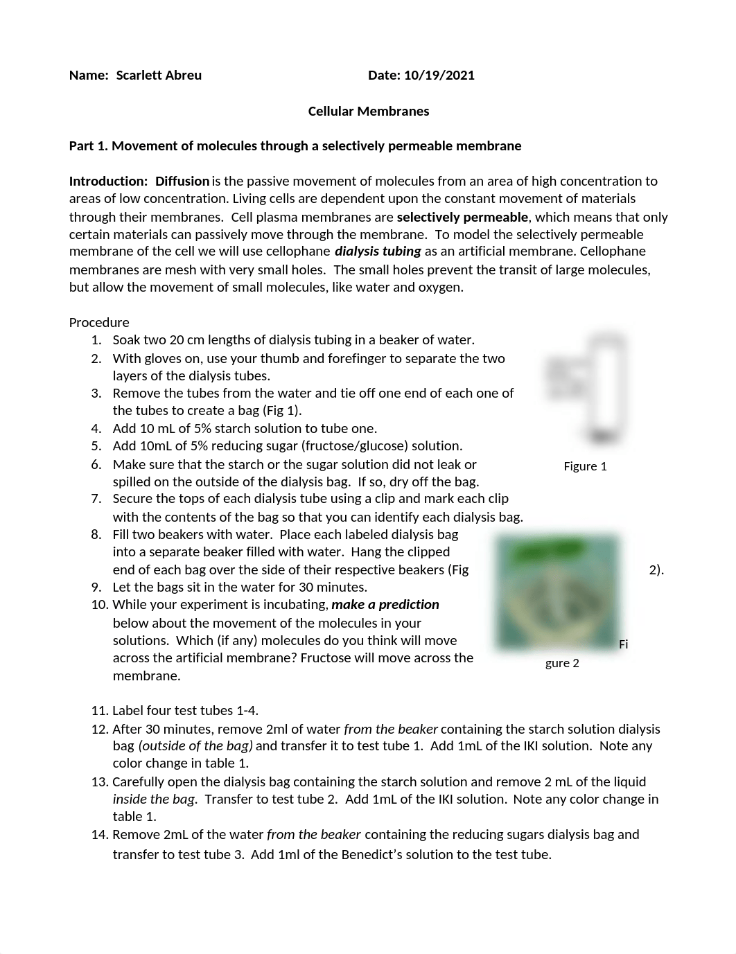 BIOL 120 Osmosis and Cell Membrane (1).docx_d7xb5fx9vpp_page1