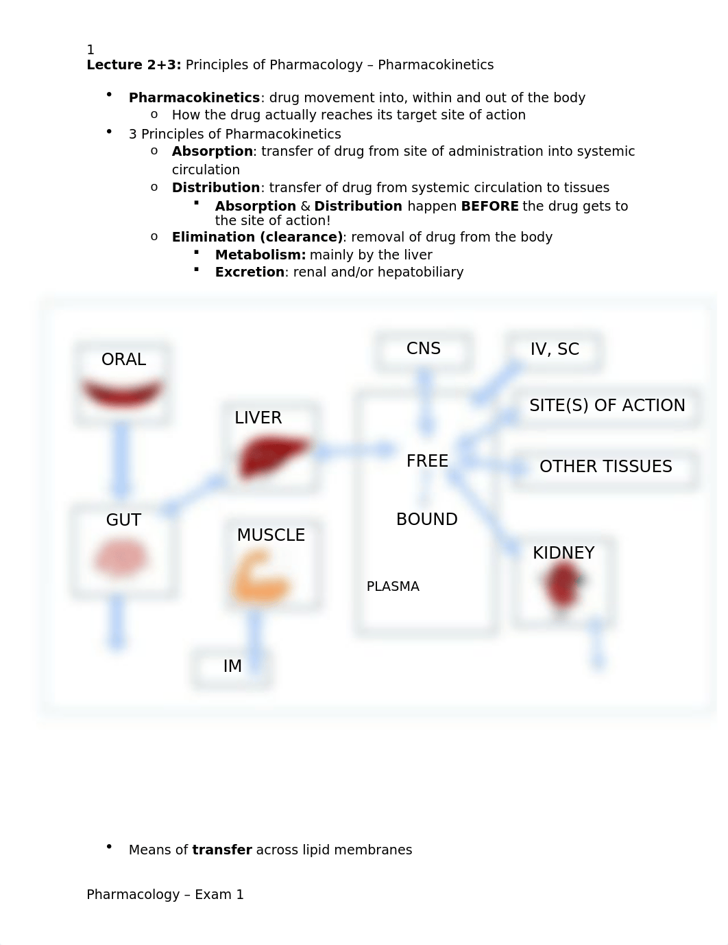 L2_Pharmacokinetics.docx_d7xfckqe214_page1