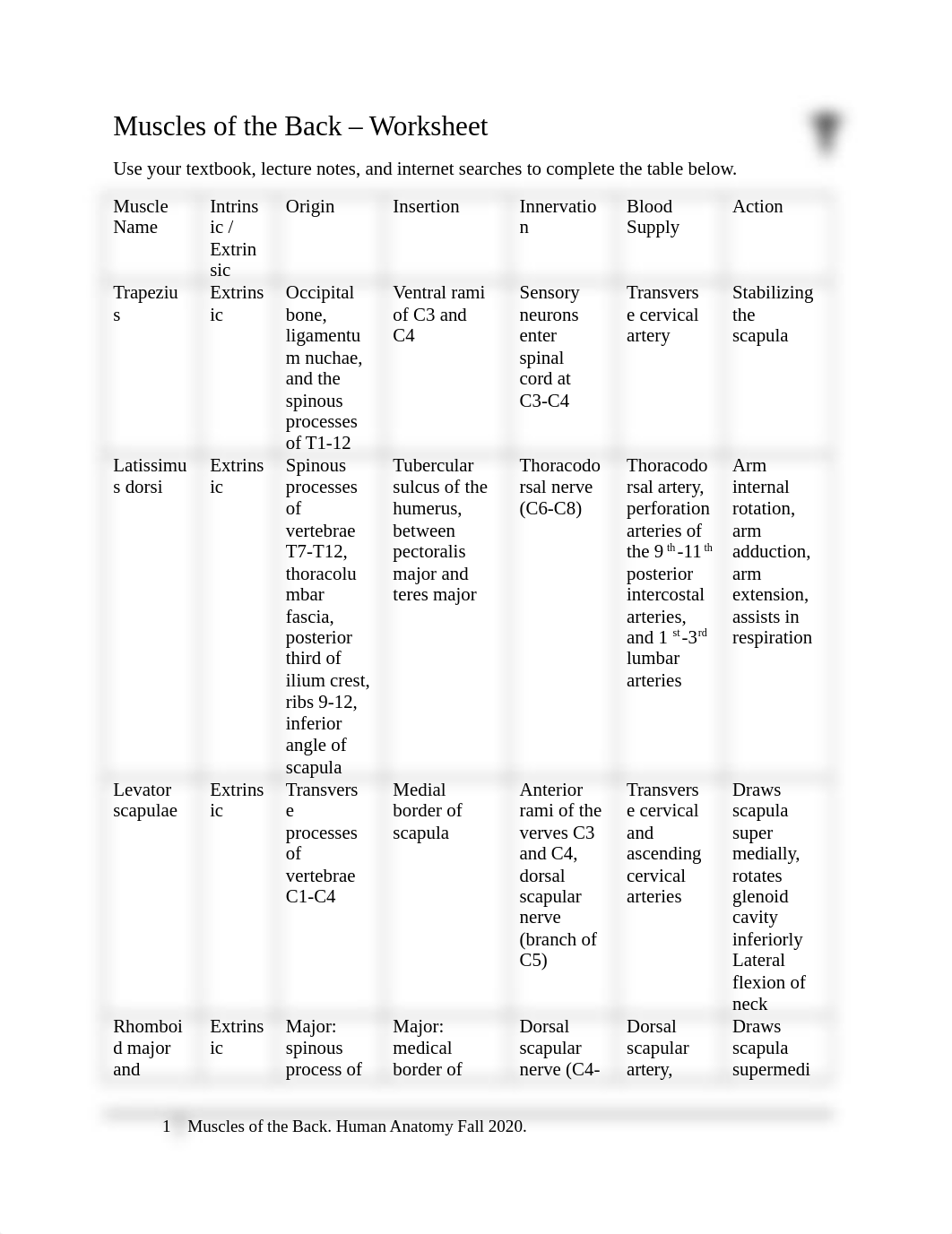 ICA2. Muscles of the Back (5).docx_d7xj7dbkci5_page1