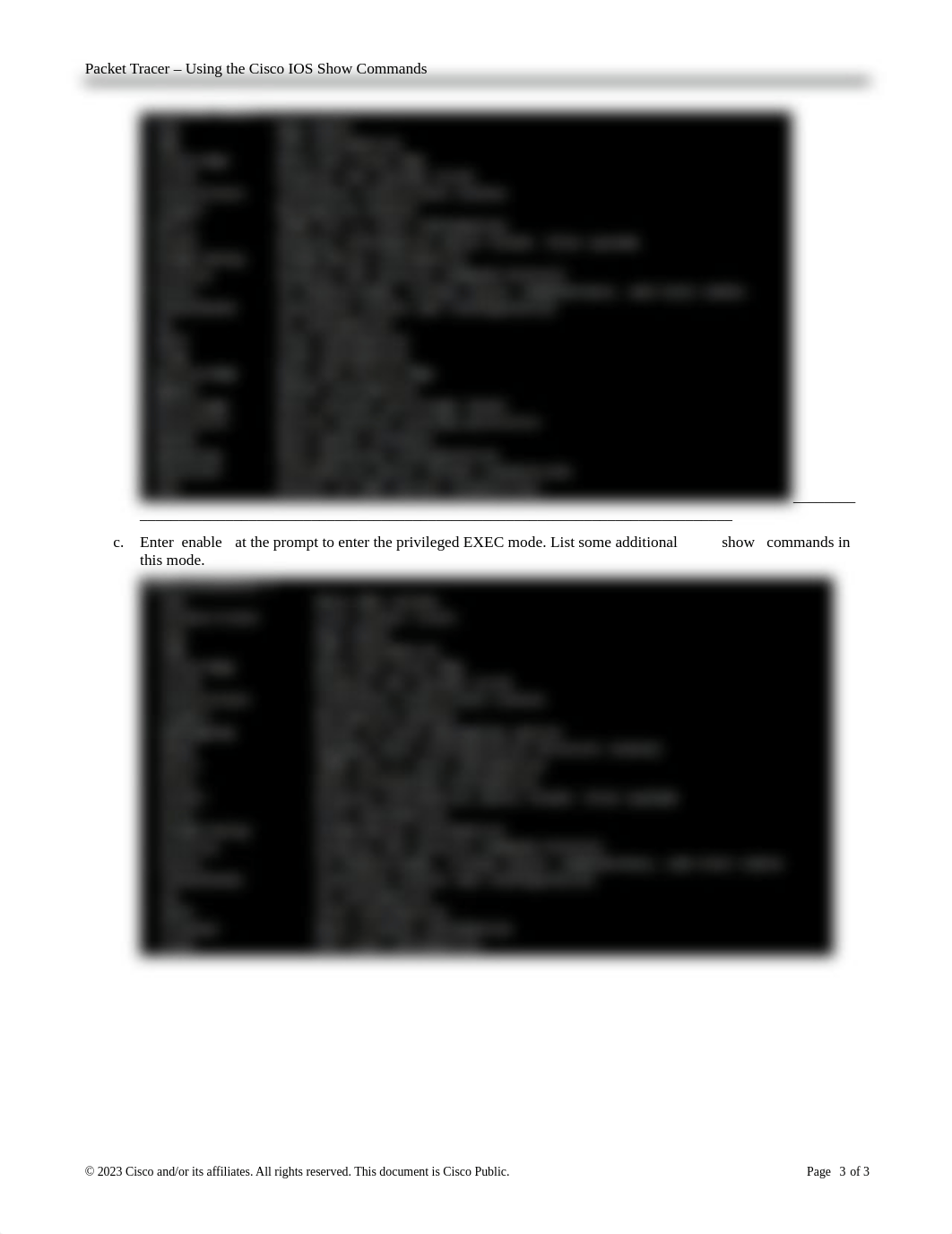 8.4.1.3 Packet Tracer - Using the Cisco IOS Show Commands.docx_d7xv8ofbda0_page3