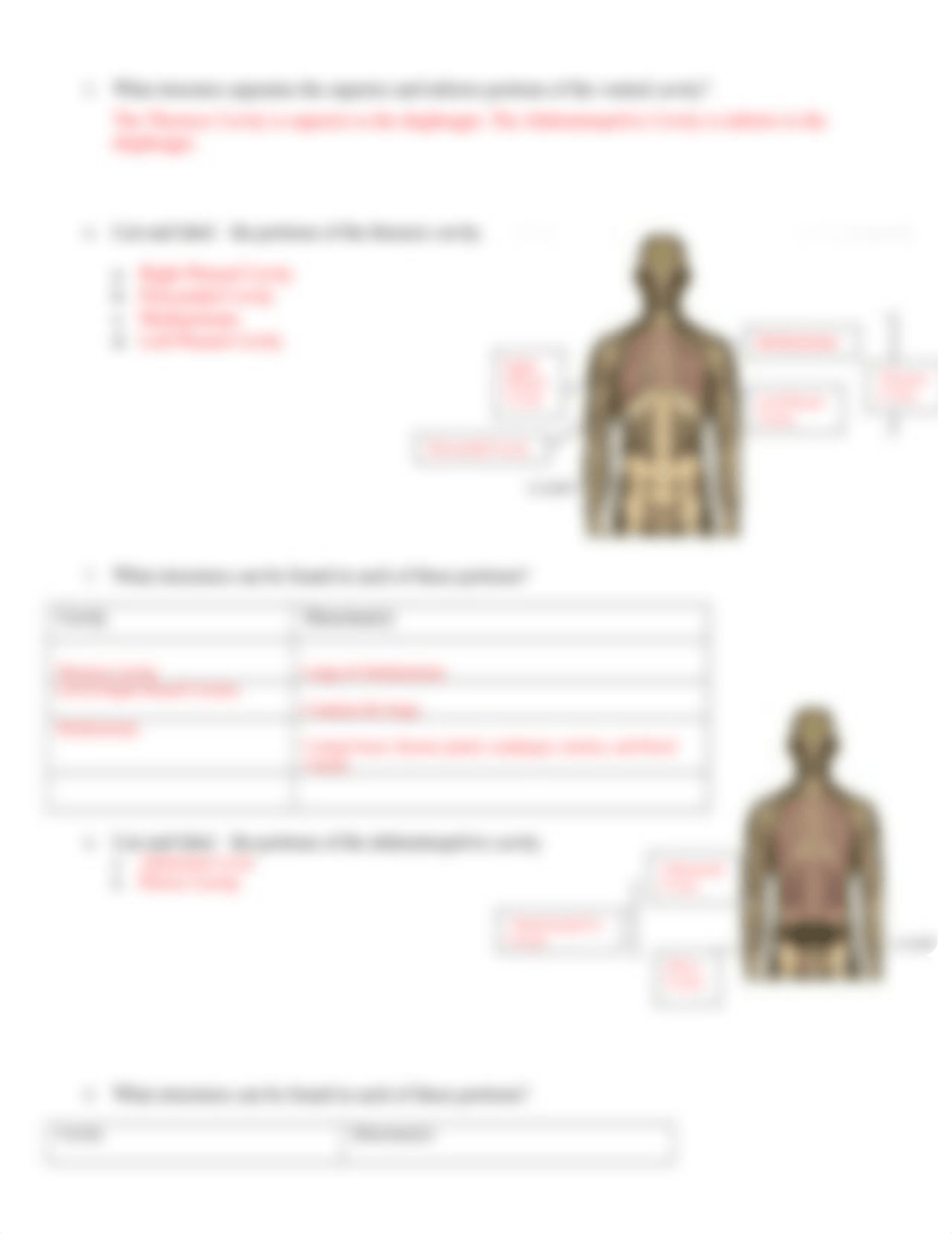 Body Cavities and Structures.docx_d7ycq9zfvio_page2