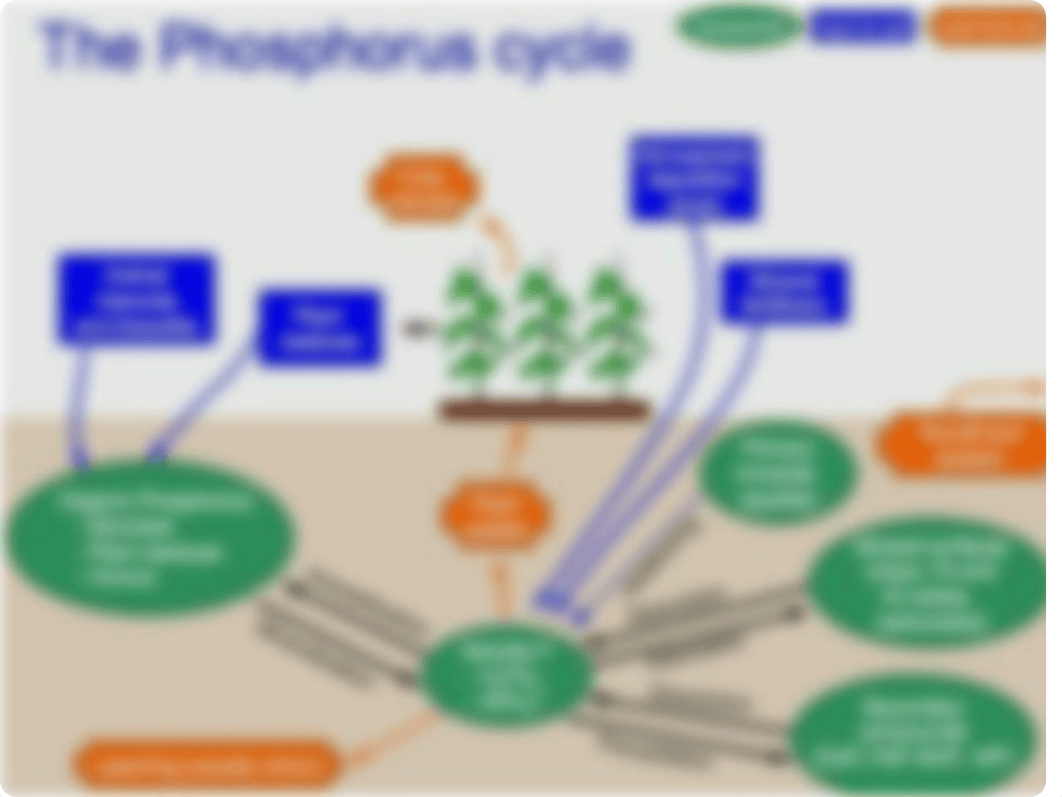 Calvin Biogeochemical Cycle Lab #7.pptx_d7yjc5zv4py_page2