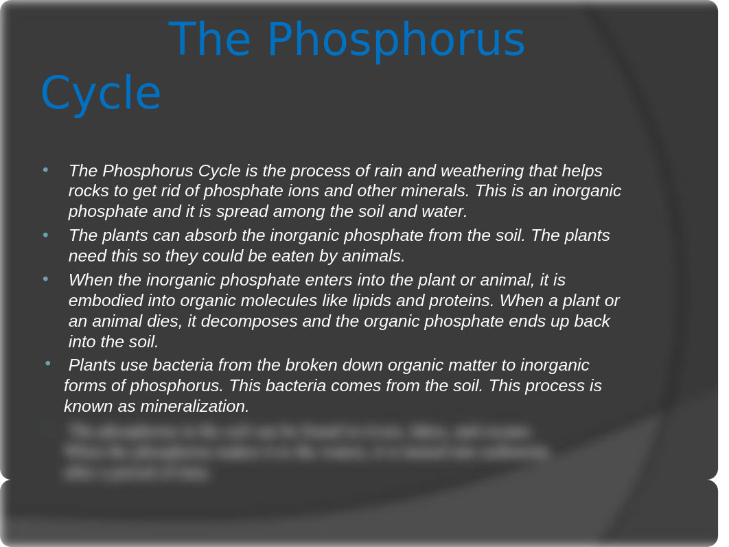 Calvin Biogeochemical Cycle Lab #7.pptx_d7yjc5zv4py_page3