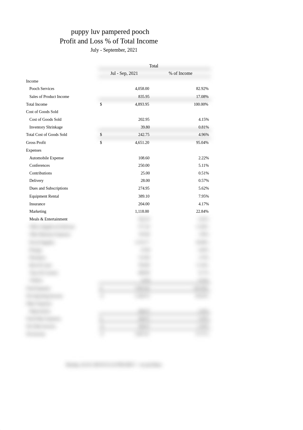 CH11 Profit and Loss Statement.xlsx_d7yjsjyg45c_page1