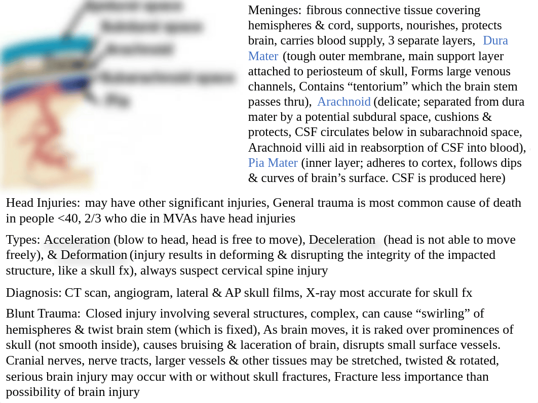 Test 9 Head Injury IICP Brain Tumors Intracranial Surgery Spinal Cord Injury.pptx_d7ylll2qc4g_page1