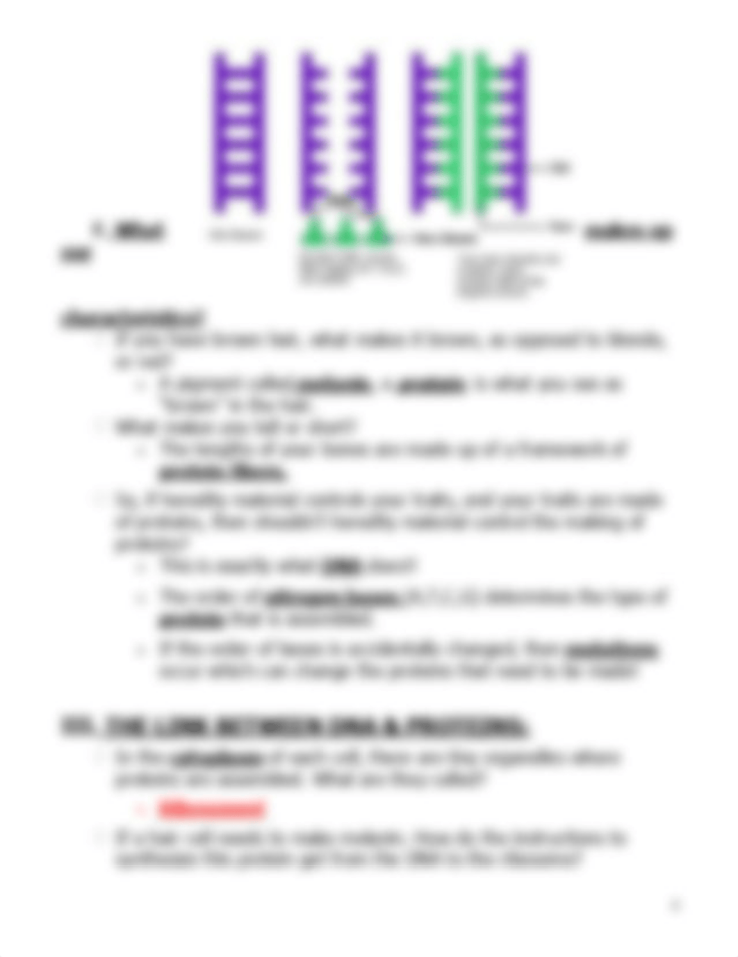 DNA_TRANSPARENCY_Teacher.pdf_d7ymwu6b3rz_page4