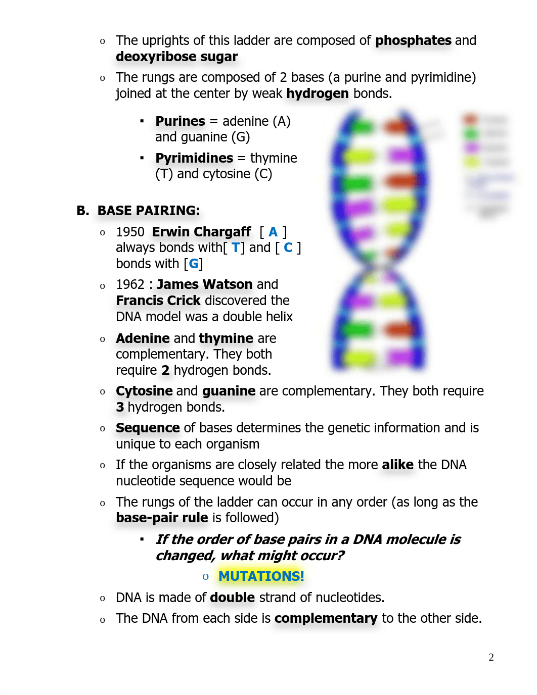 DNA_TRANSPARENCY_Teacher.pdf_d7ymwu6b3rz_page2