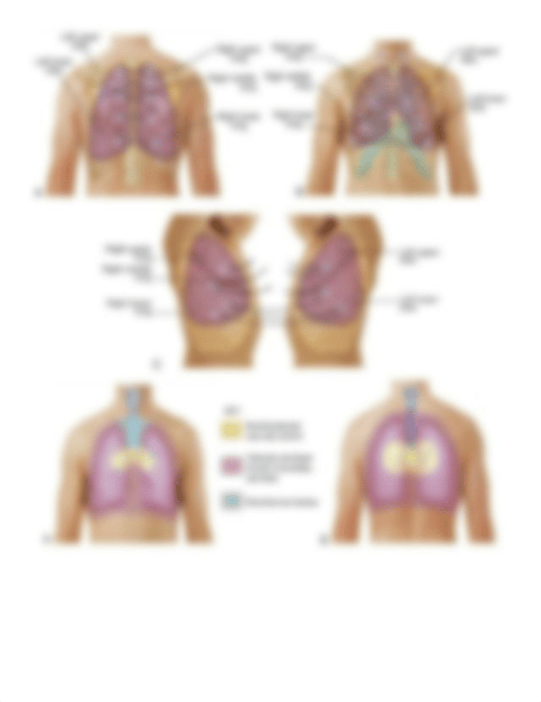 FINAL_STUDENT_NOTES_DOWNSIZED.docx_d7yxk2tvha7_page3