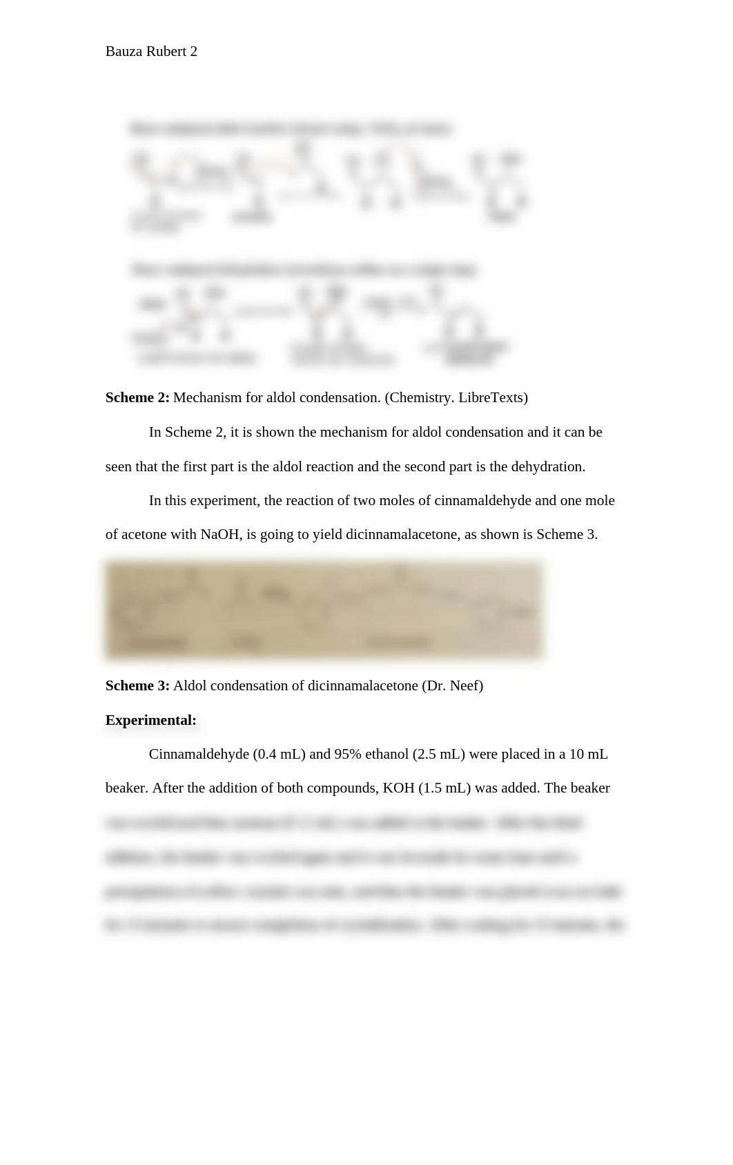 Formal lab report 3.docx_d7z3bbe5cn0_page2