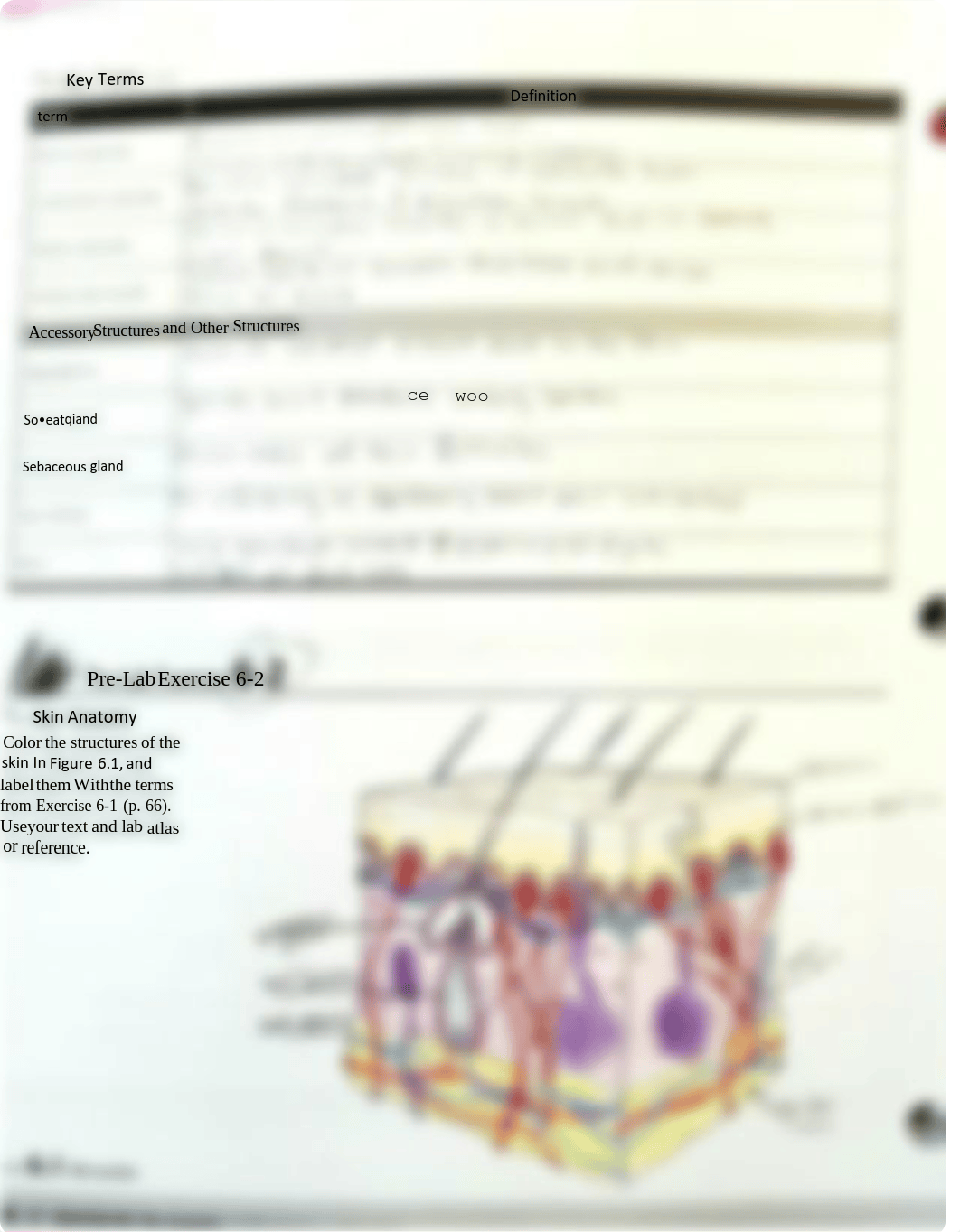 A&P prelab unit 6.pdf_d7z9hi9tcjq_page2