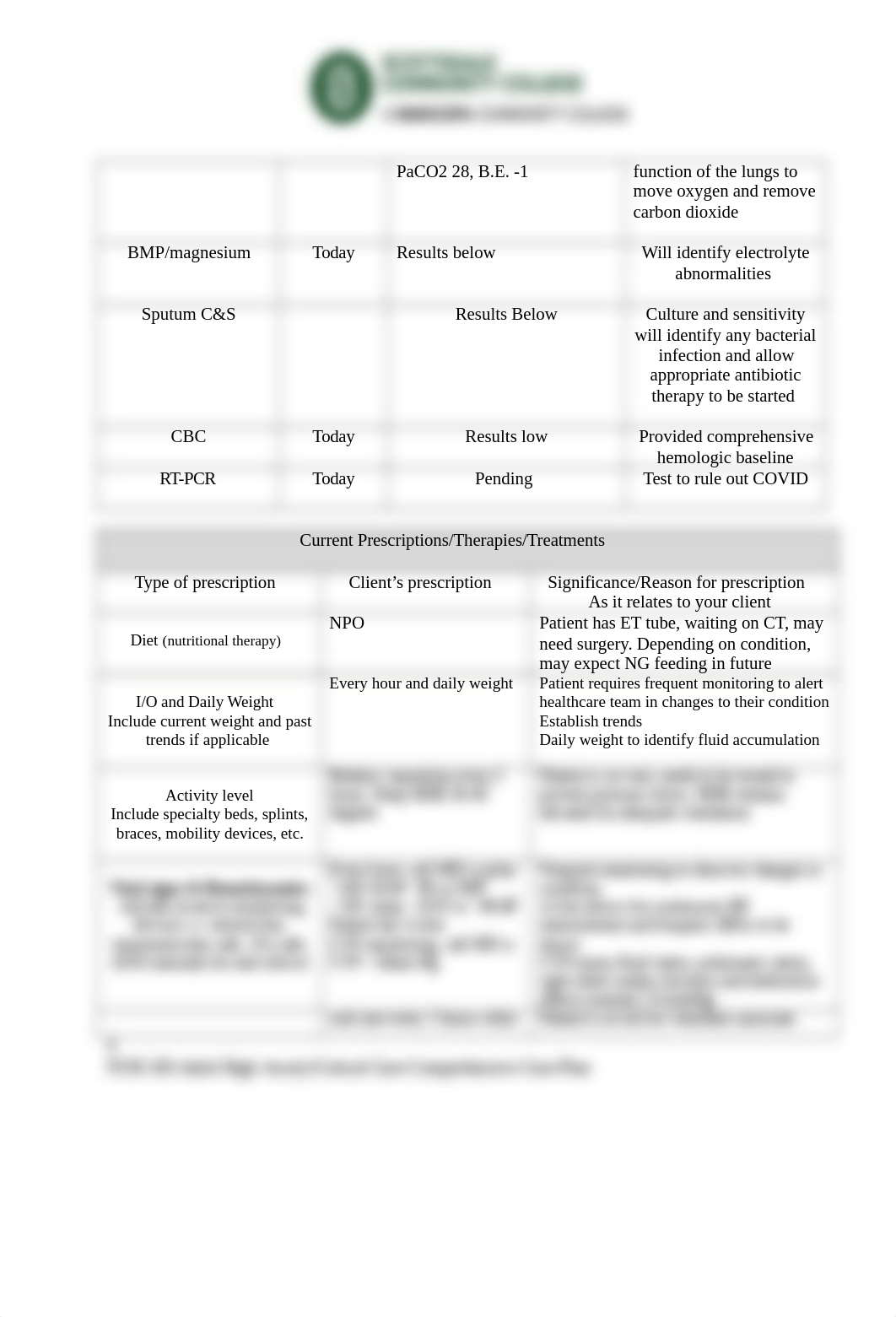 Comprehensive_CarePlan-2-2.docx_d7zebuuvksj_page3