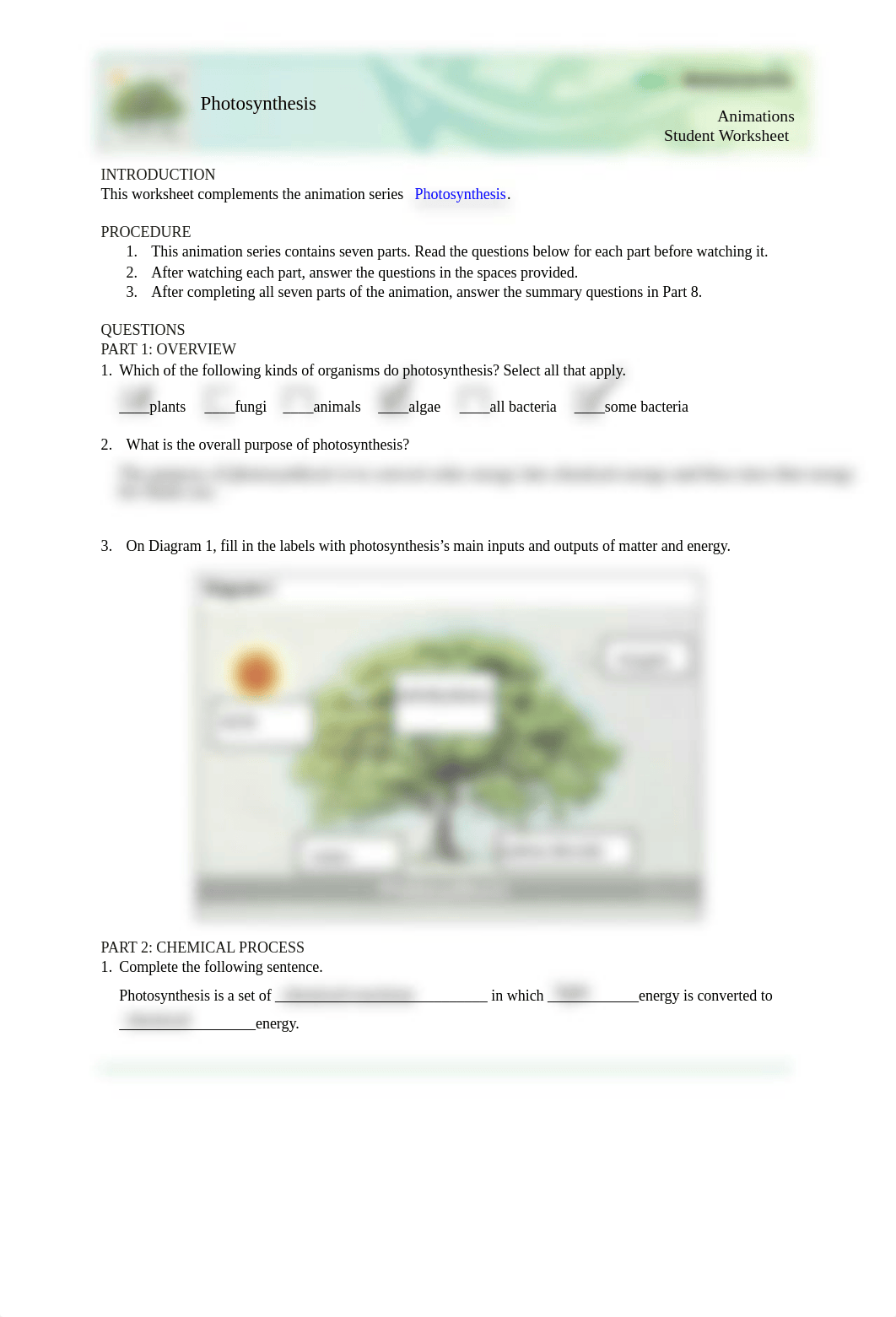 Photosynthesis_Animation_Student_Worksheet.pdf_d7zf7obtq2a_page1