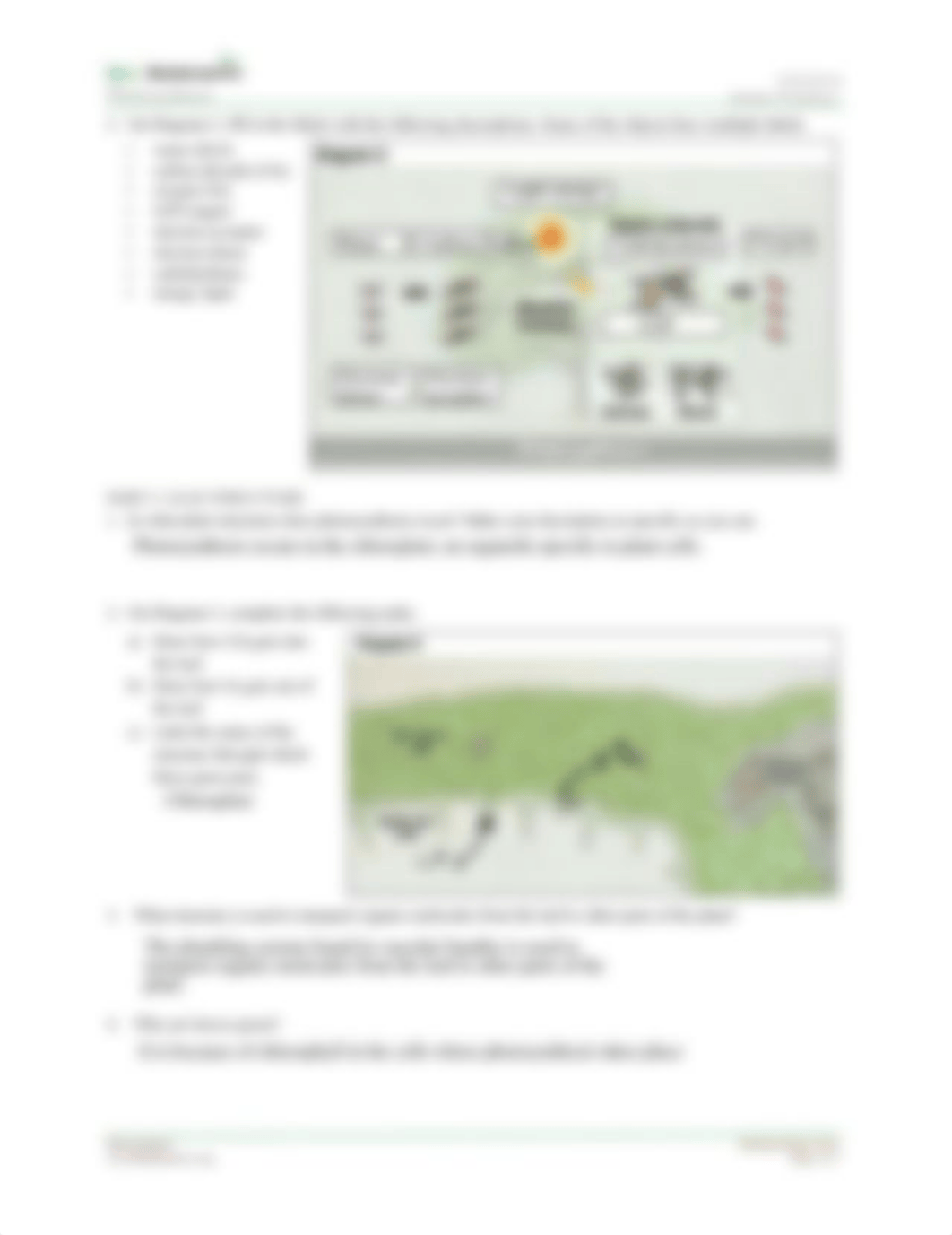 Photosynthesis_Animation_Student_Worksheet.pdf_d7zf7obtq2a_page2