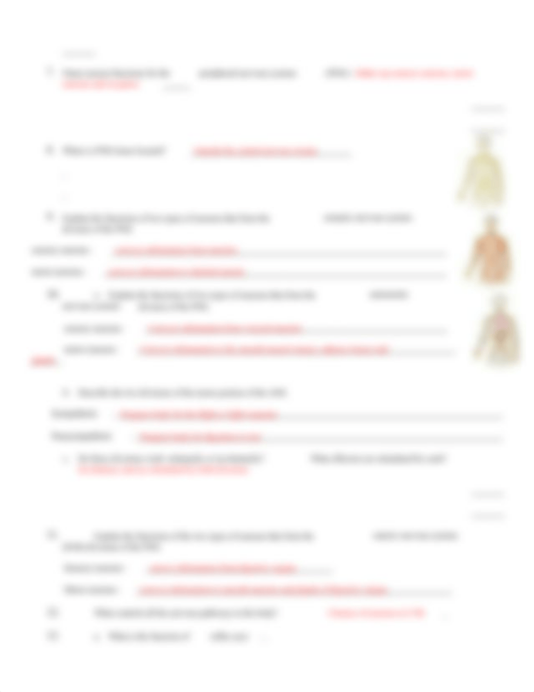 Intro to Structure-Function of Nervous System CH 12.docx_d7zlo25h2u9_page2