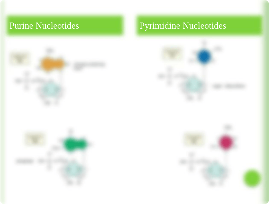 Chapter 12 - Molecular Genomics.pptx_d7zmeqmmhrq_page5