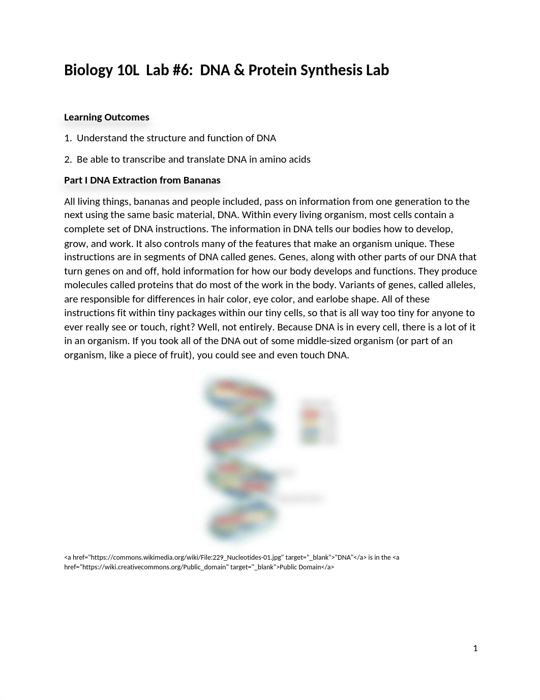 6. DNA & Protein Synthesis Lab.docx_d7zp6p1jf3n_page1