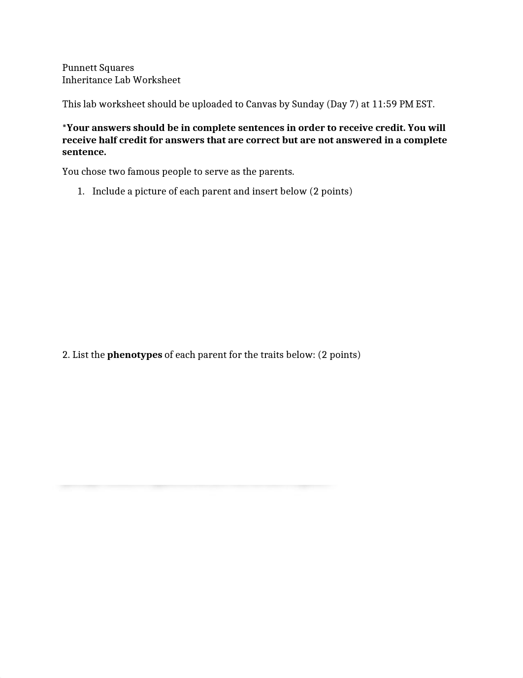 Punnett Square Lab Worksheet.docx_d7zpp916p85_page1