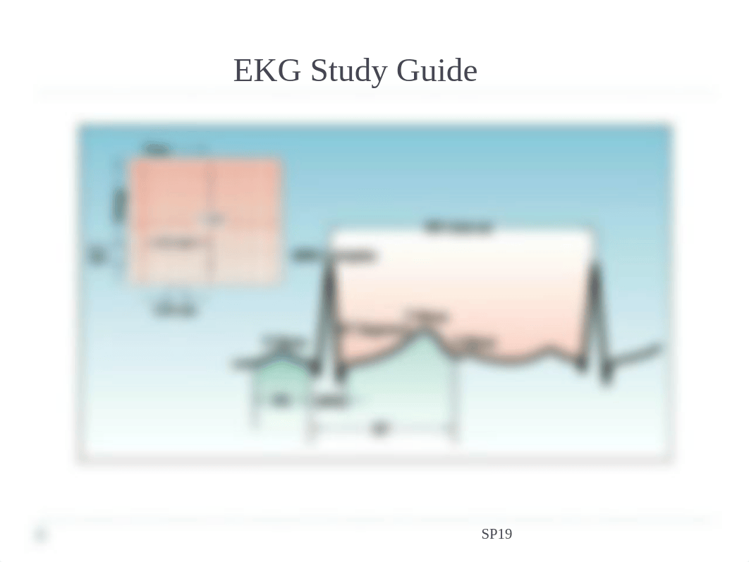 EKG_quiz_study_guide_(1).ppt_d7zqklwlr8s_page1