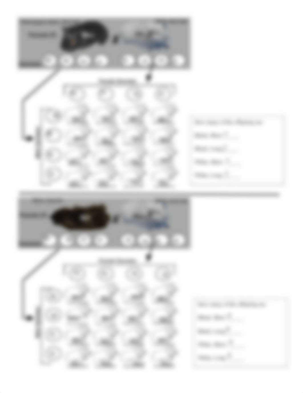 BIO 114 - Dihybrid Cross and Guinea Pigs Lab.pdf_d7zs1bi4zmk_page2