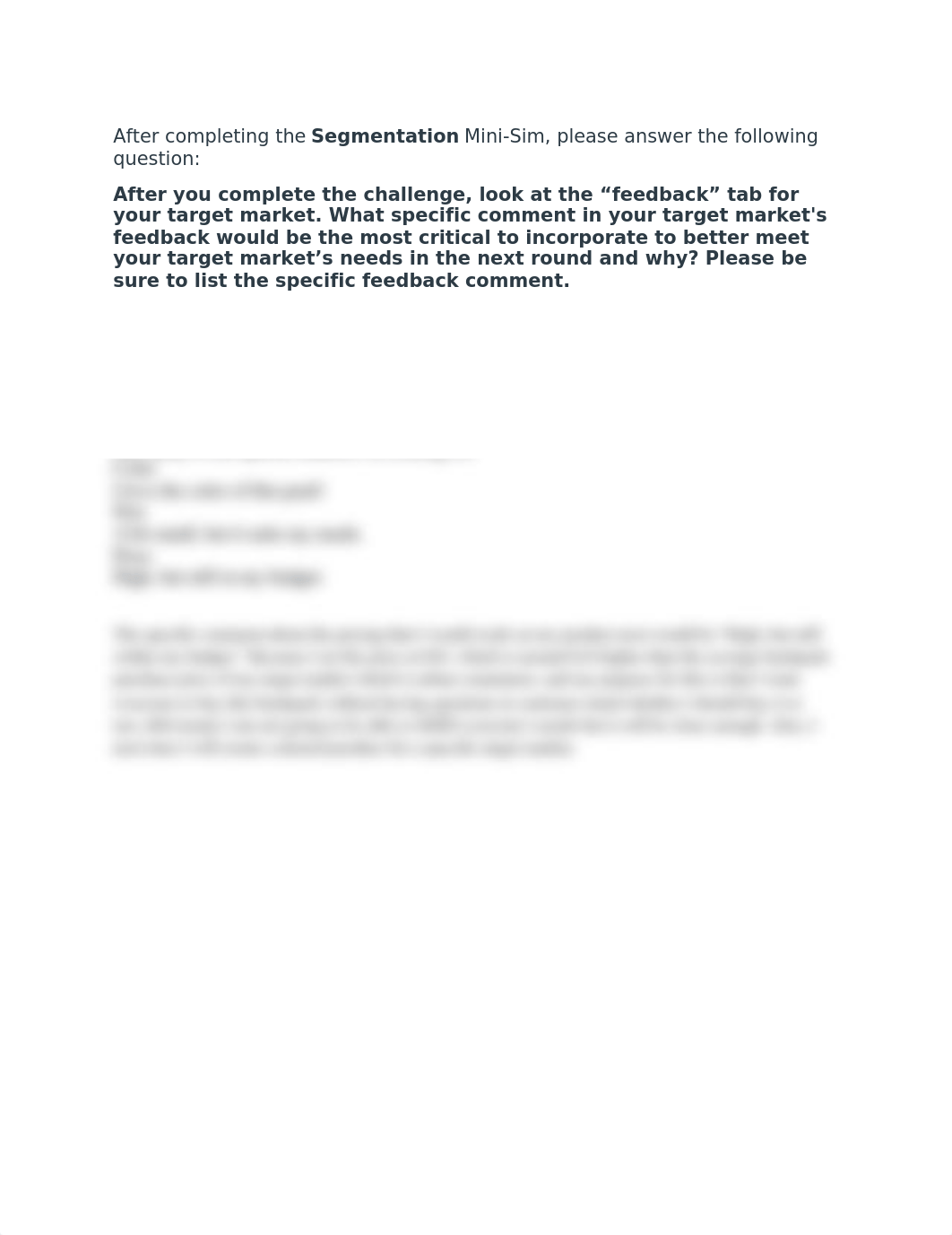 Mini-Sim - Segmentation Reflection Question.docx_d7zyyxg9cqa_page1