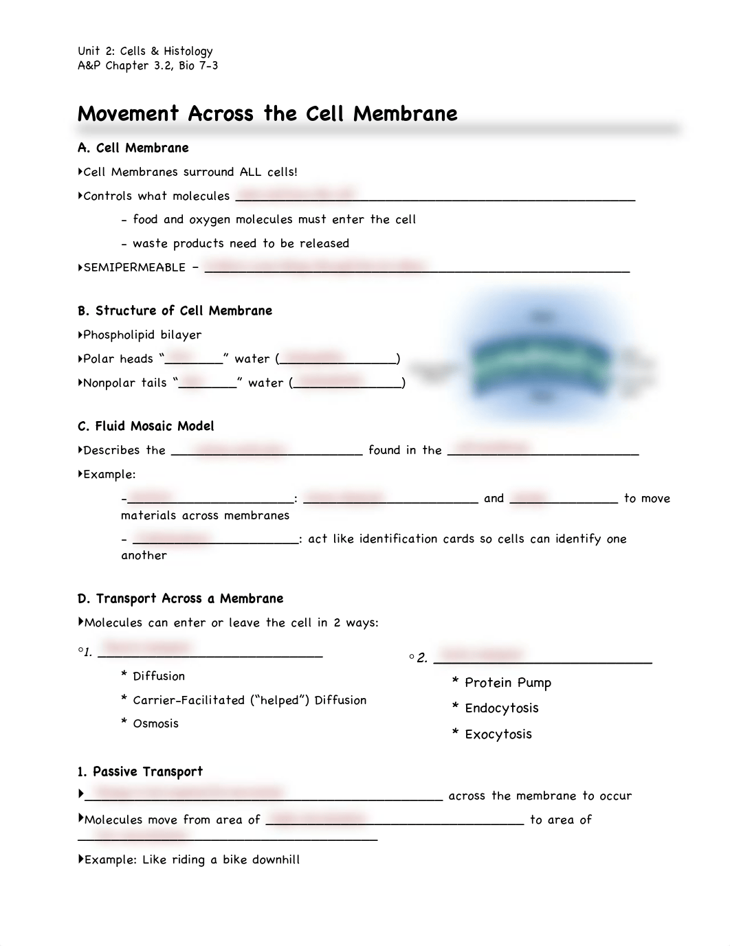 Kami Export - Keshaunana Harris - Movement_Across_Cell_Notes-Fillin_Students.pdf_d800mrzjwok_page1